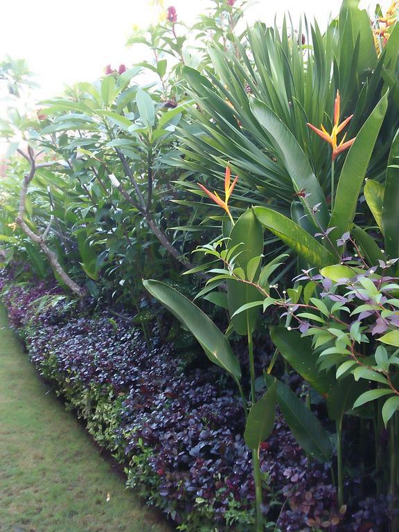 The Wina Guest House 2 Canggu  Luaran gambar